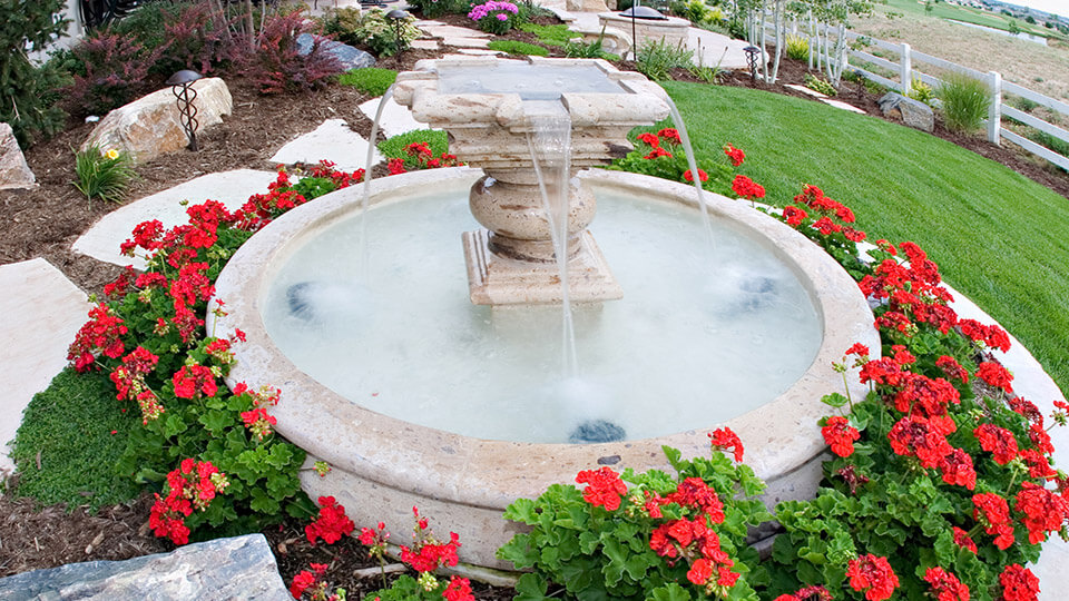 Water fountain surrounded by red colored flower plants in the backyard