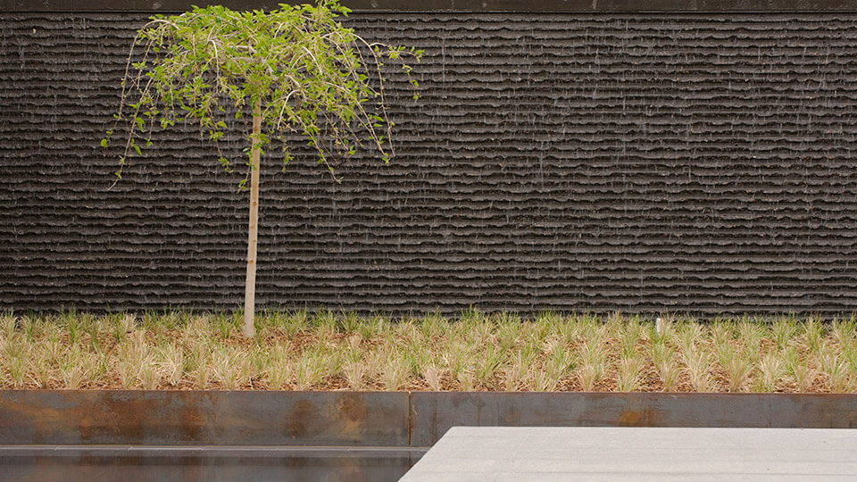 A single small tree in font of a wall along with shrubs