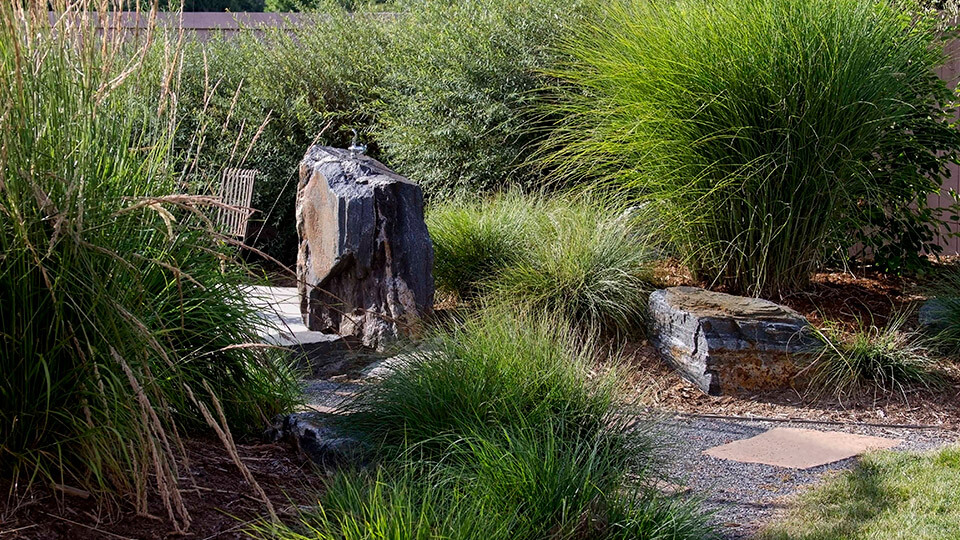 Sitting area with chairs covered with big grass plants in the backyard