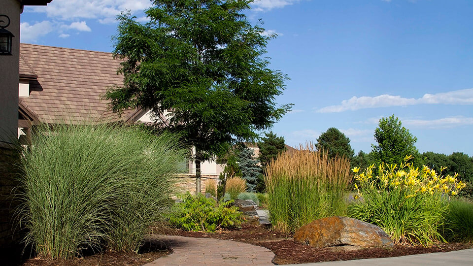 Pathway leading to house with grass plants and trees