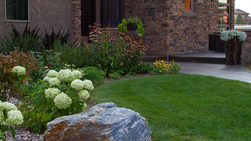 Colored flower plants on side of the house