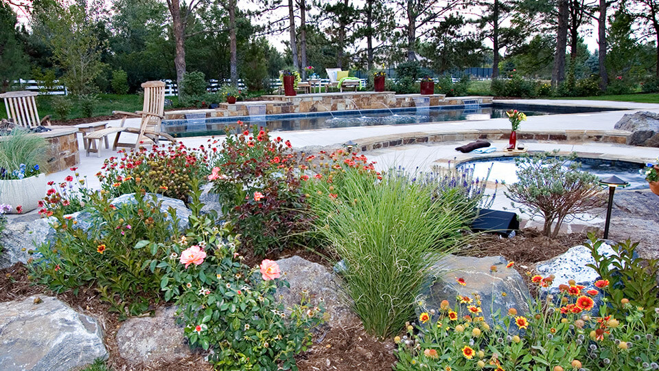 Swimming pool with relaxing chairs, chairs around the fire pit along with grass plants and trees