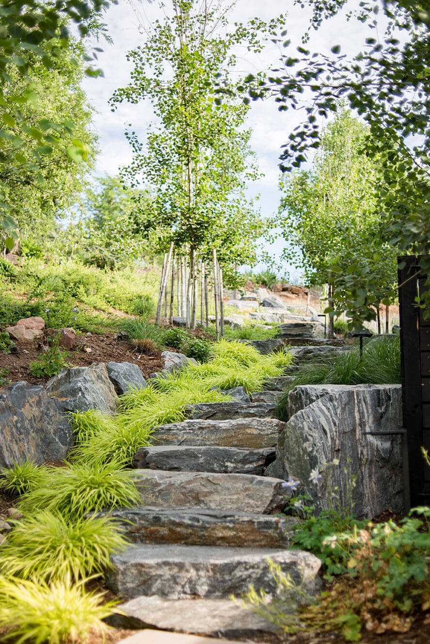 Pathway made of rocks leading uphill surrounded by plants and trees