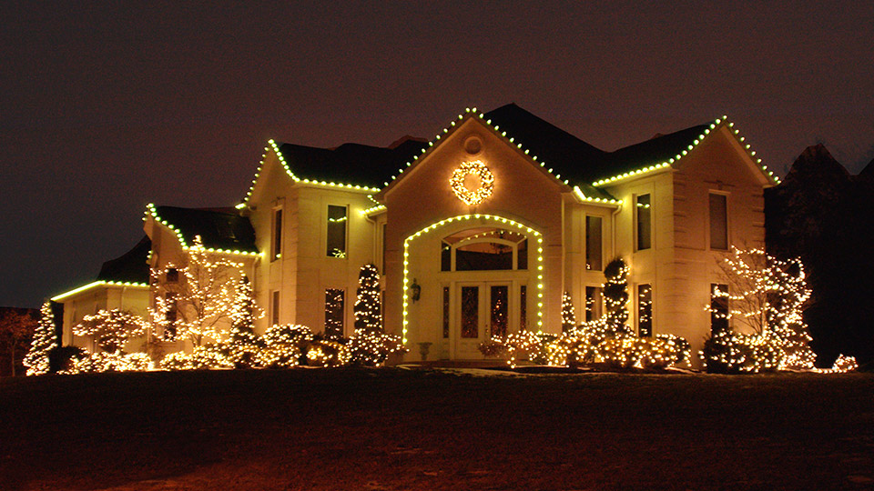 A House and plants are fully decorated with lighting for christmas and new year eve