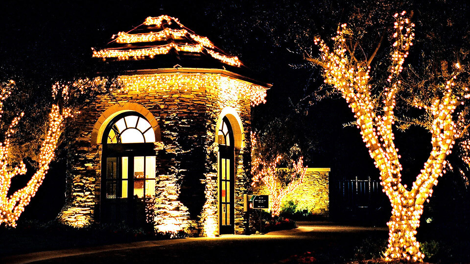 A House, and trees are fully decorated with colourful lighting for christmas and new year eve