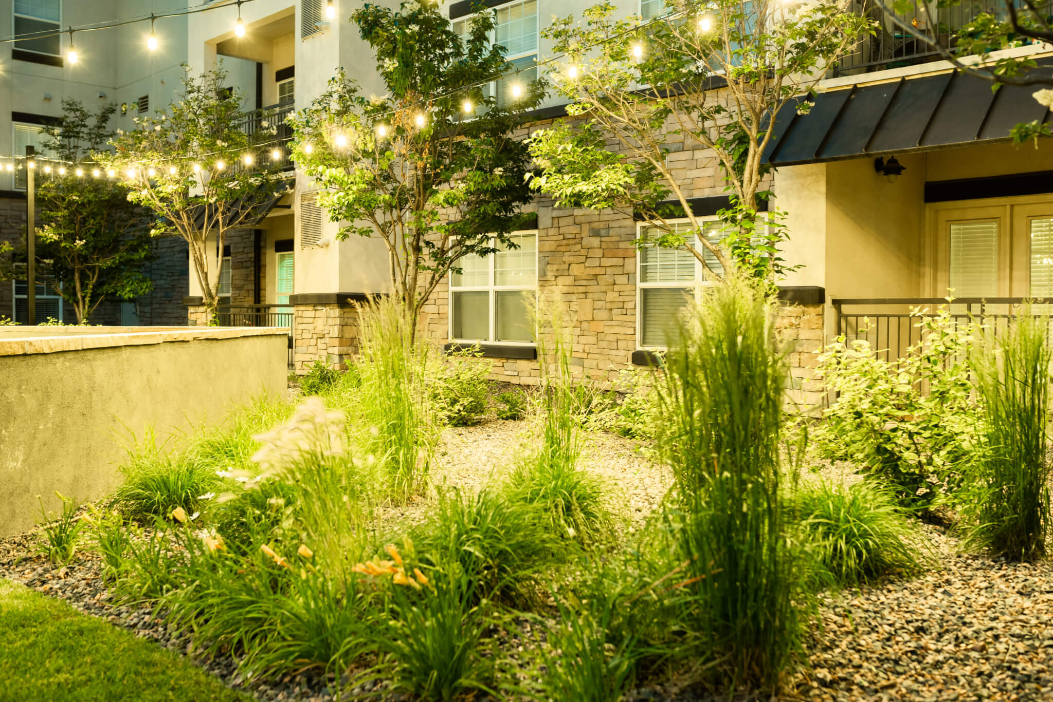 Grass plants in the courtyard area with lights