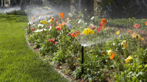 Sprinklers misting flowers
