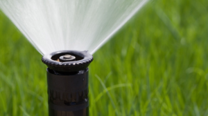 Sprinkler head close up