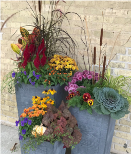 Fall flowers in planters