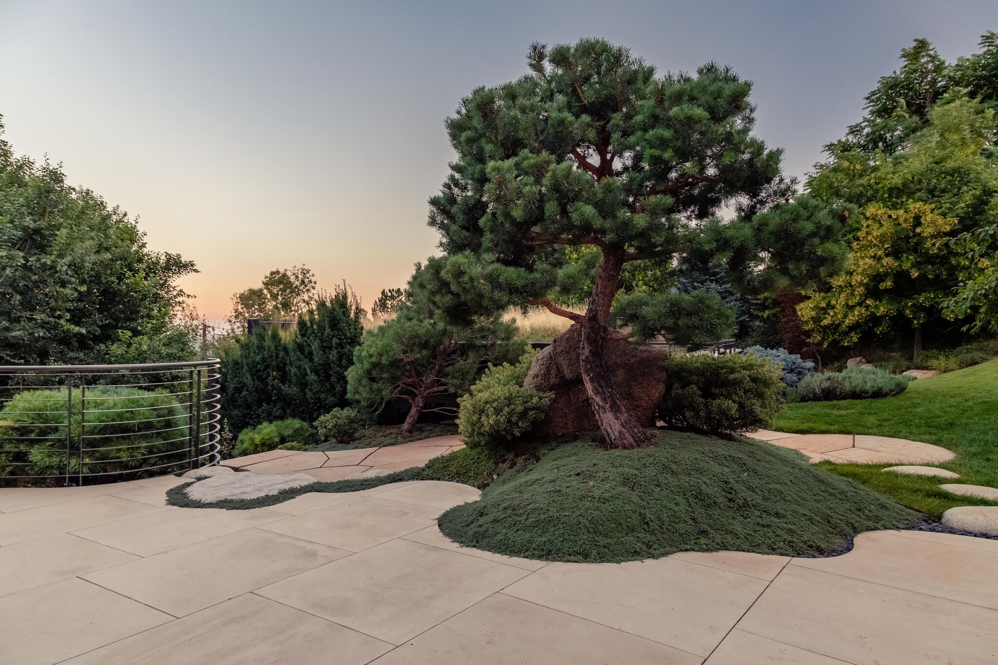 Garden area with some bushes and lot of trees