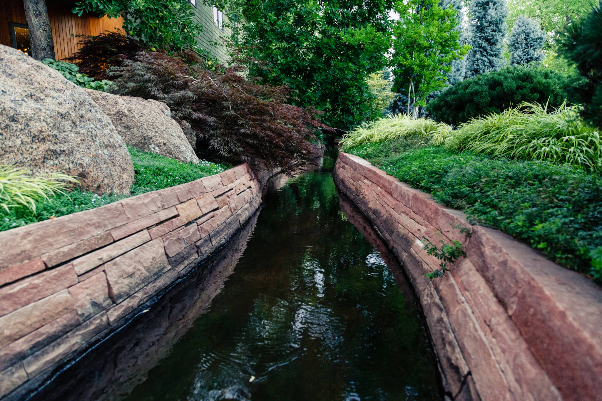 Water stream along with trees in backyard