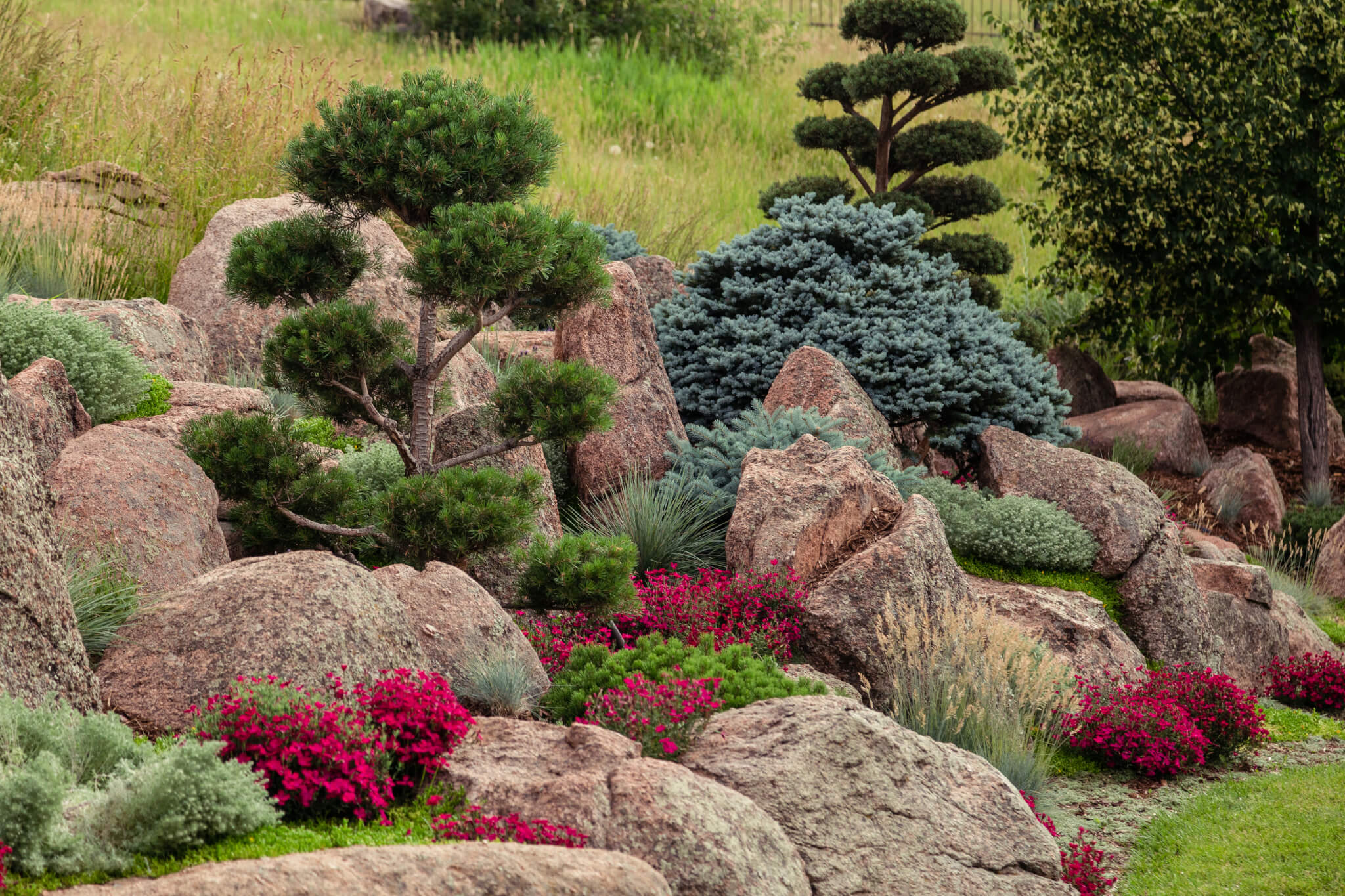 Garden filled with rocks plants and trees