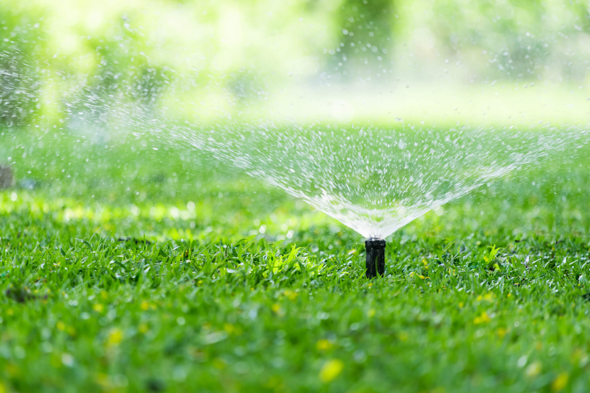 Sprinkler System