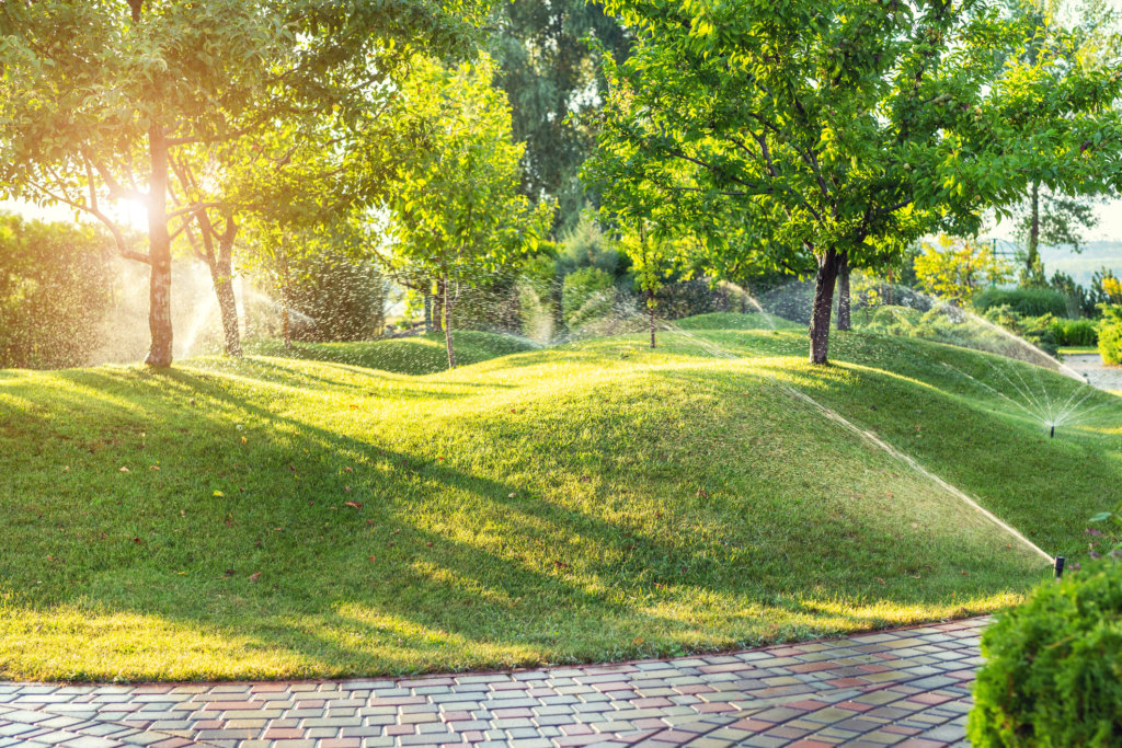 Sprinklers Watering Trees & Grass in Park