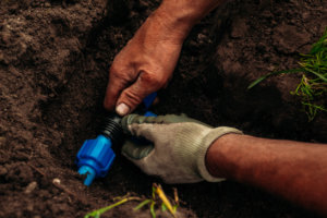 Installing Irrigation in Colorado