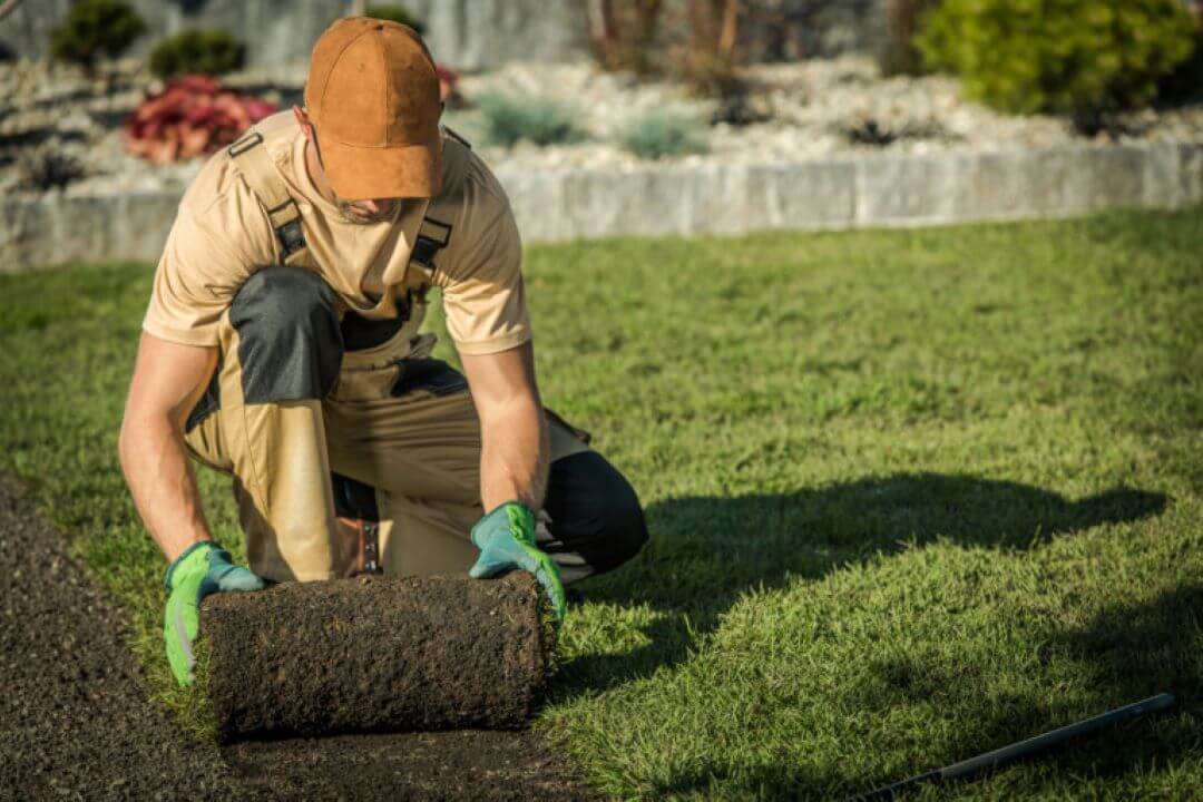 Northern Colorado Landscape Experts