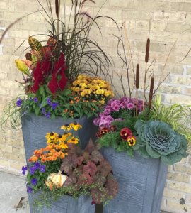 Colorful fall planting