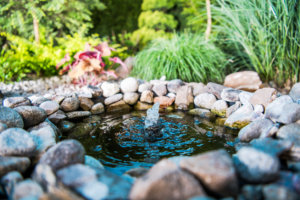 Backyard water feature