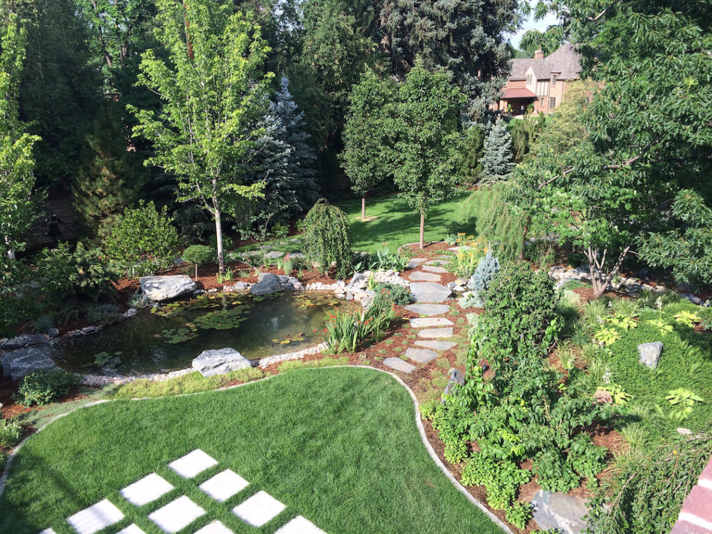 Backyard of a Home Designed with Climate-Conscious Trees & Shrubs 