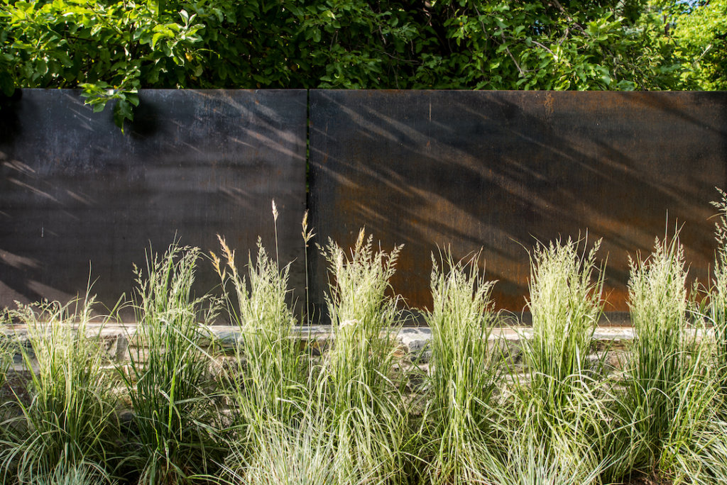 Low Maintenance Grass Alternative: Low Water & Drought-Resistant Yard