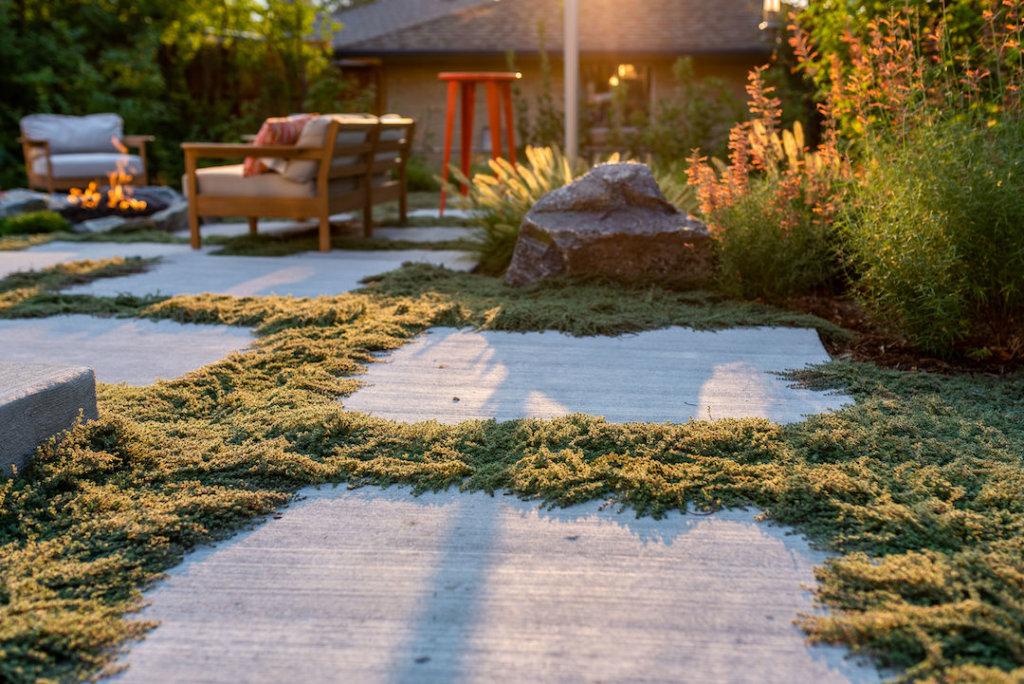 Backyard Walkway with Groundcover Grass Alternative