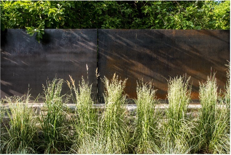 Low Maintenance Grass Alternative: Low Water & Drought-Resistant Yard