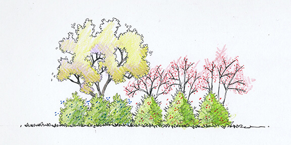 Landscape Design with Trees & Shrubs – Cartoon Image