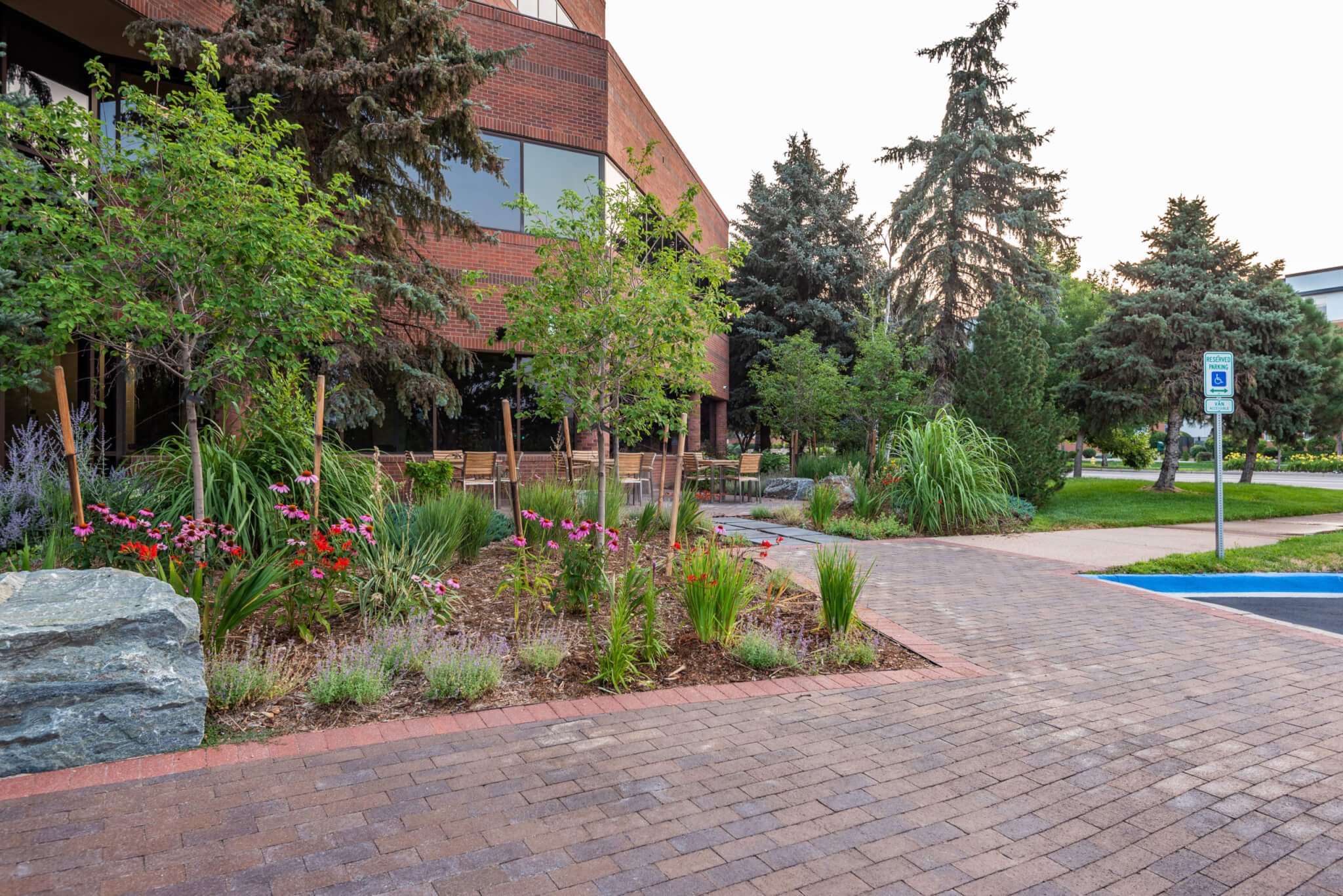 Backyard area with chairs, tables, plants and trees