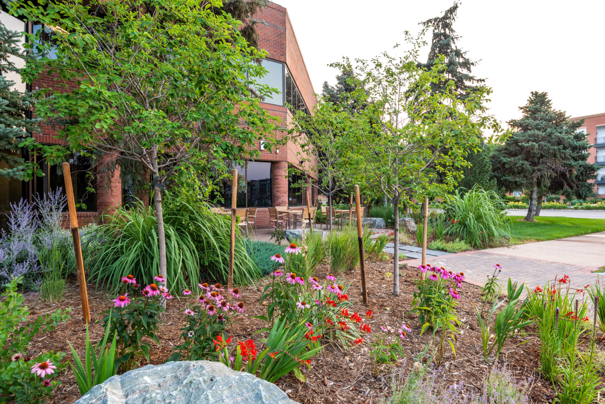 Outside sitting area with chairs, tables, plants, and trees