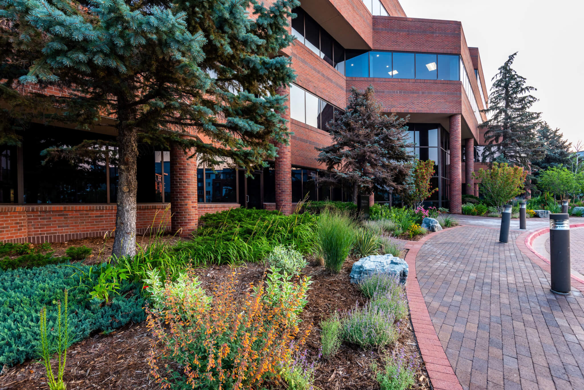 Pathway leading to entrance of the building along with plants and trees