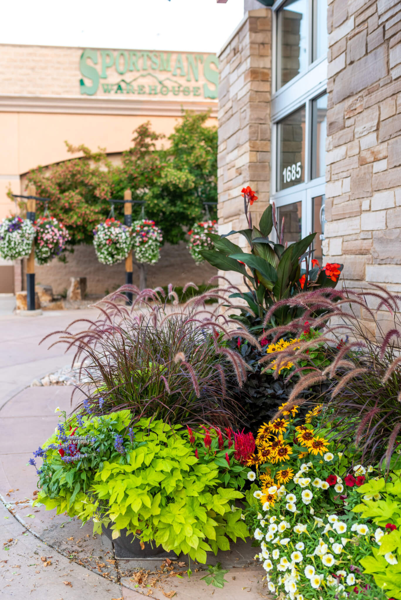 Small flower pots filled with different types of plants and colourful flower plants in front of a building