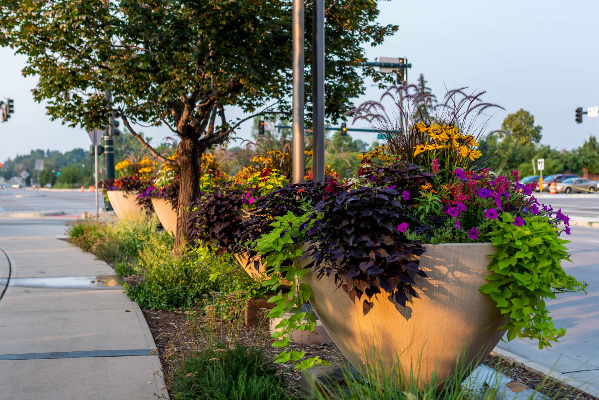 There are trees and a big flower pots nearby the street