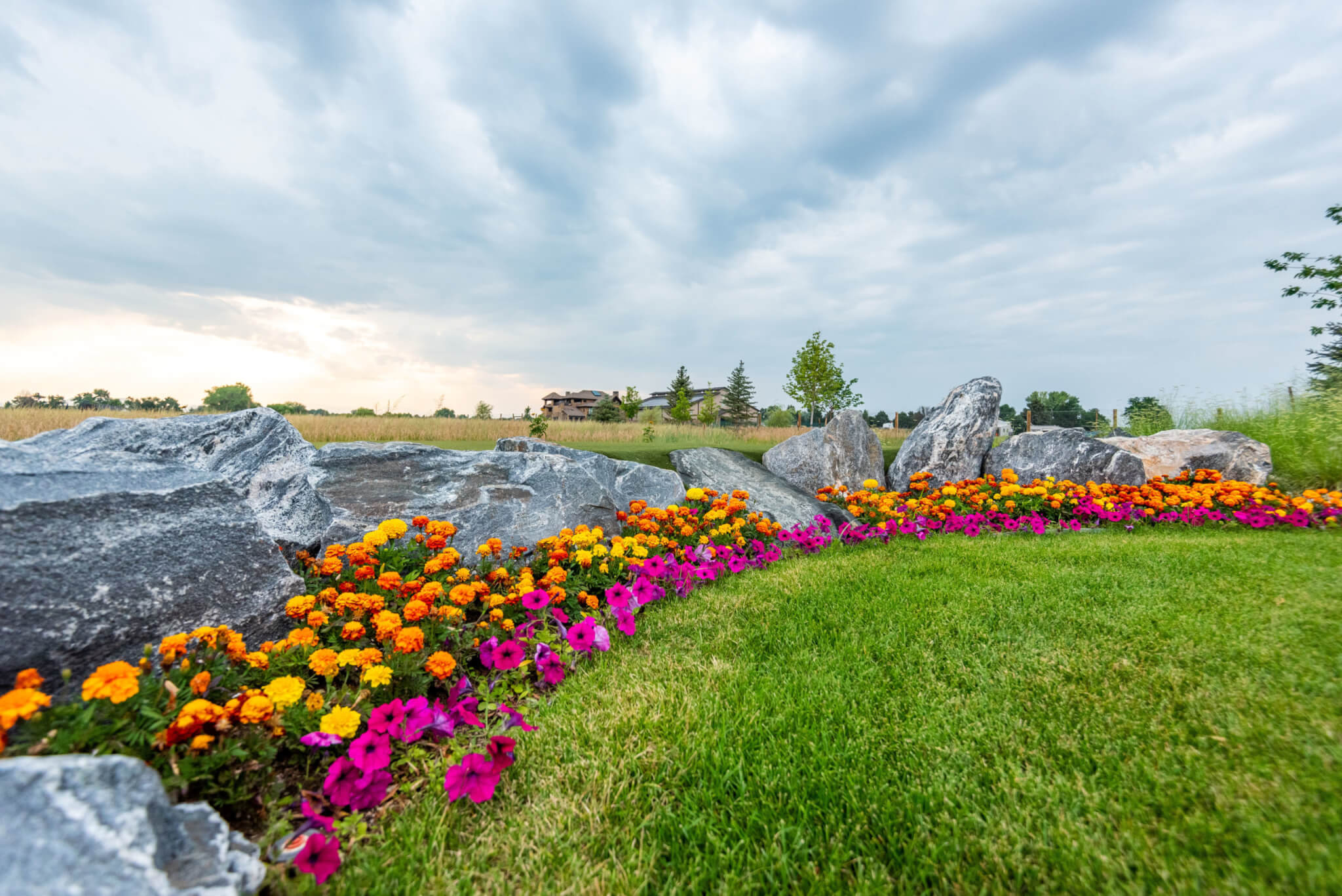 grass field landscape with some rocks, colourful flower plants and trees