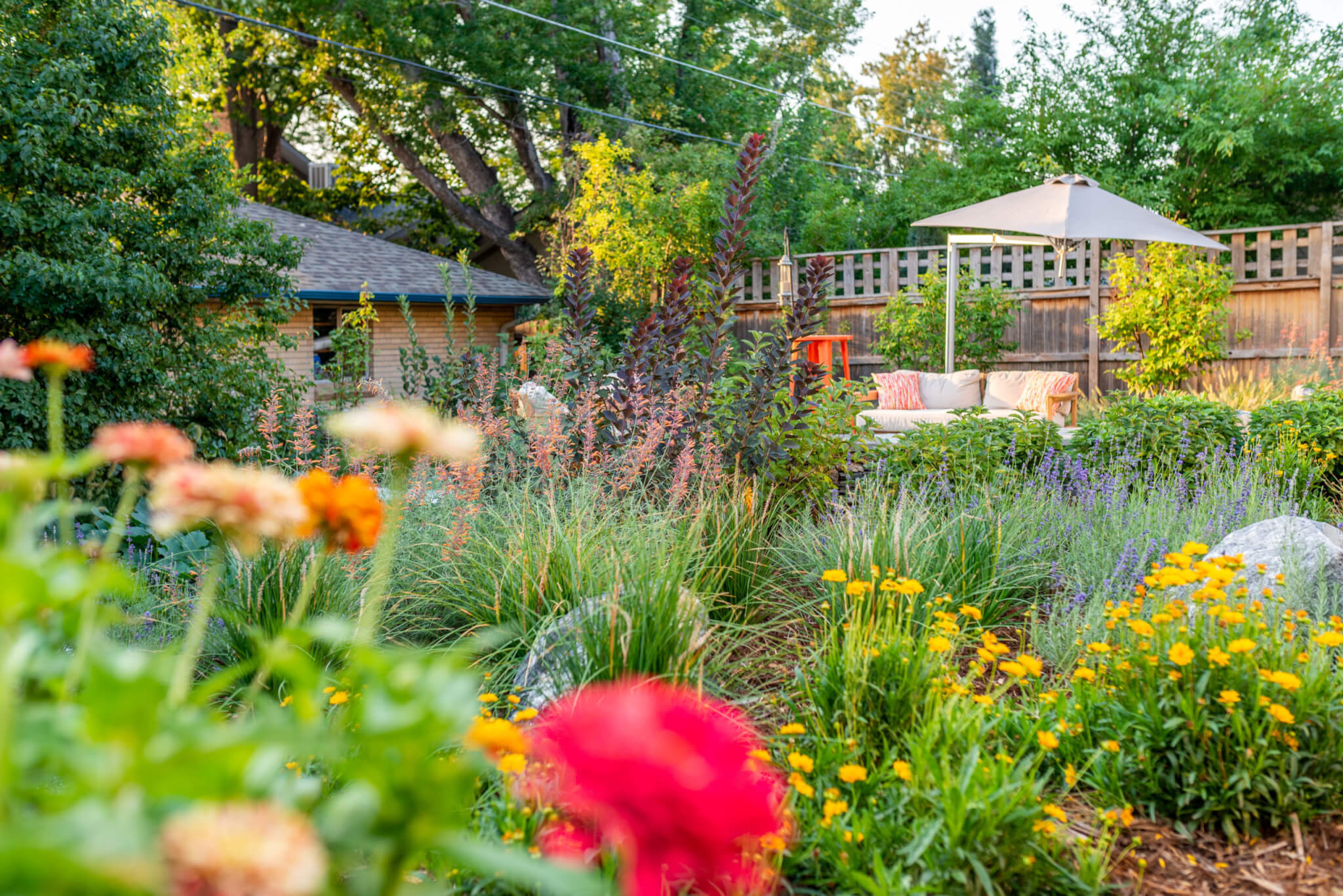 Lawn area filled with chairs, some plants and multicolour flower plants