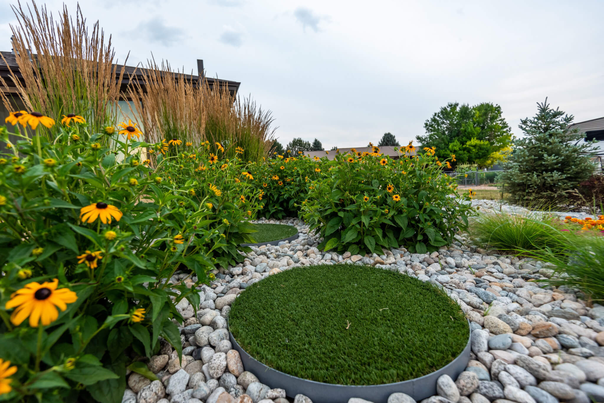 Garden with flower plants, grass plants and trees