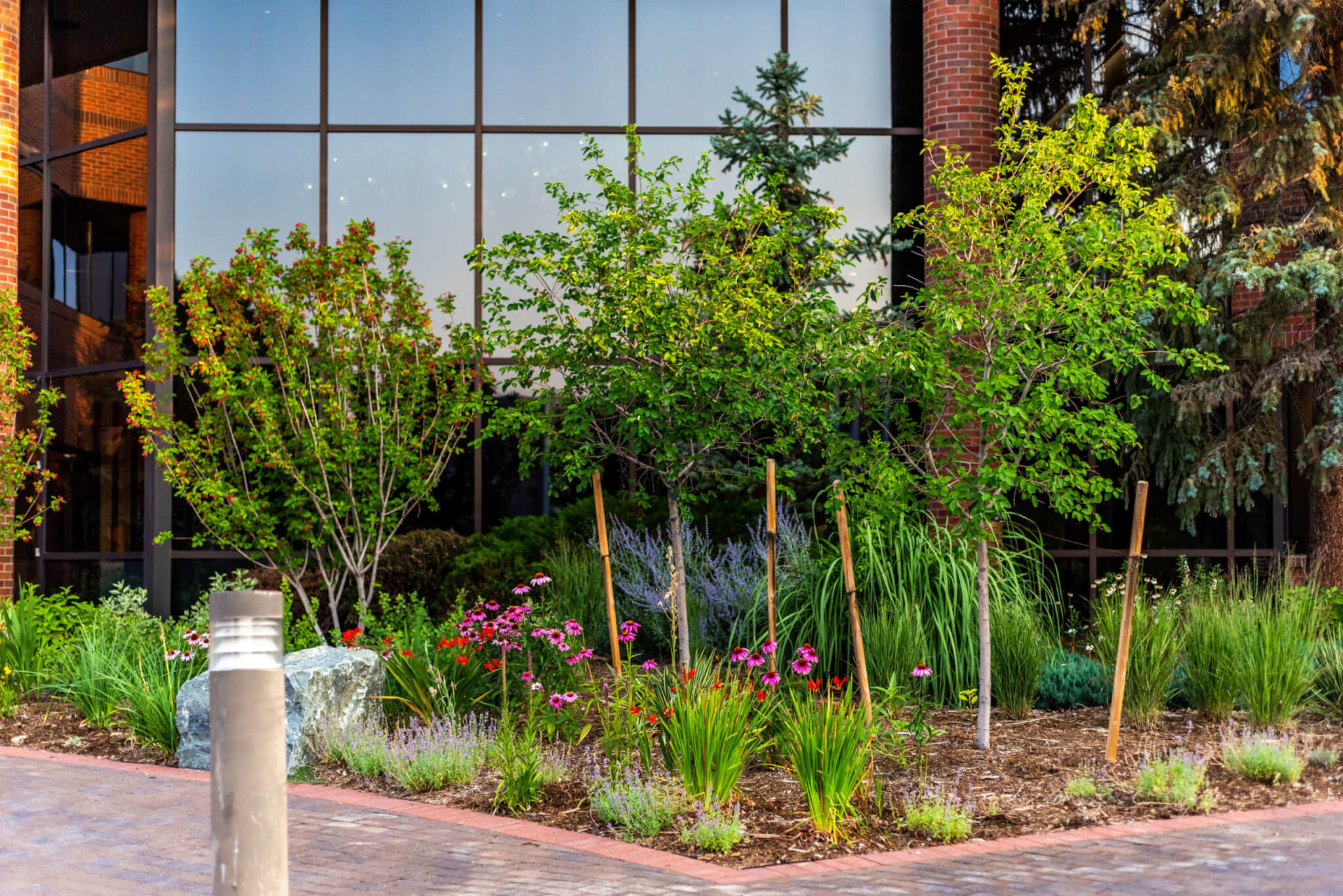 Flower plants and tress on side of the pathway