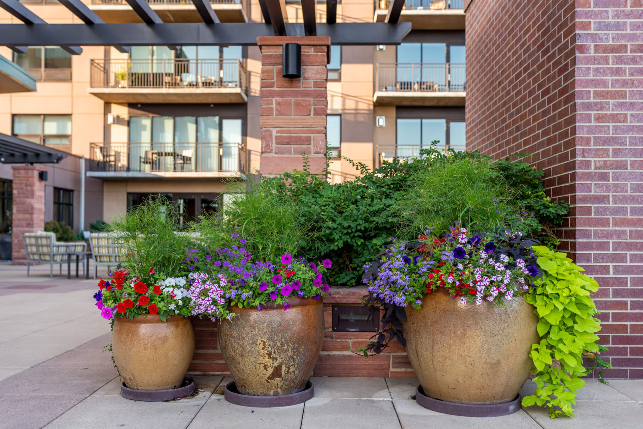 A big clay flower pots filled with colour flower plants in the lawn area of a building