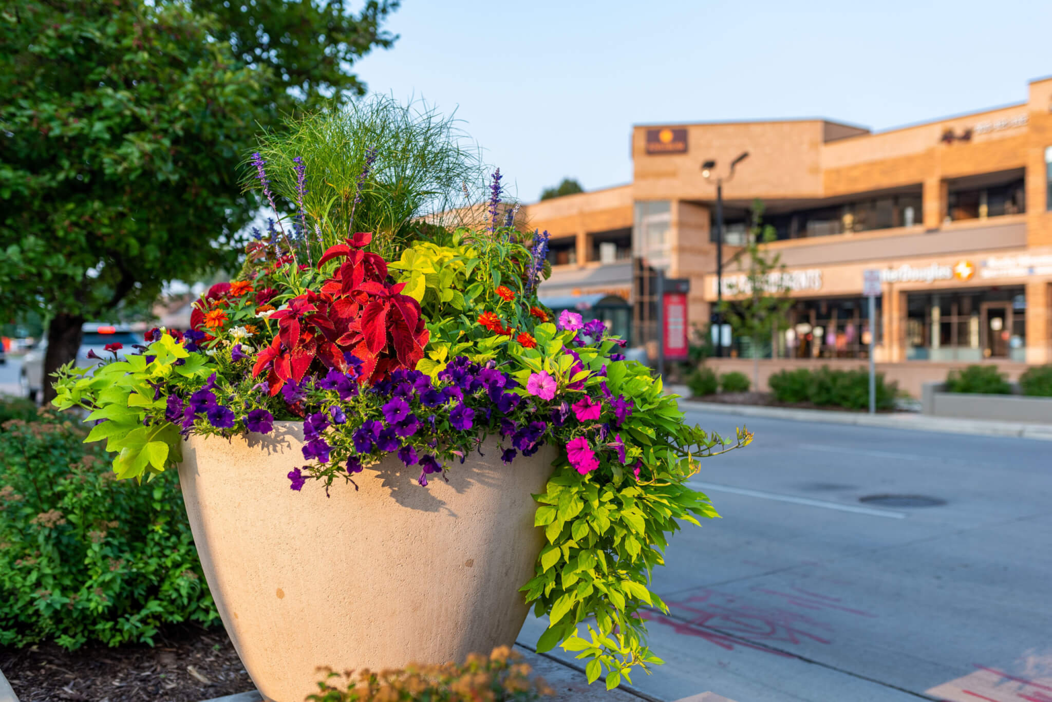 There are trees and a big flower pot on side of a road