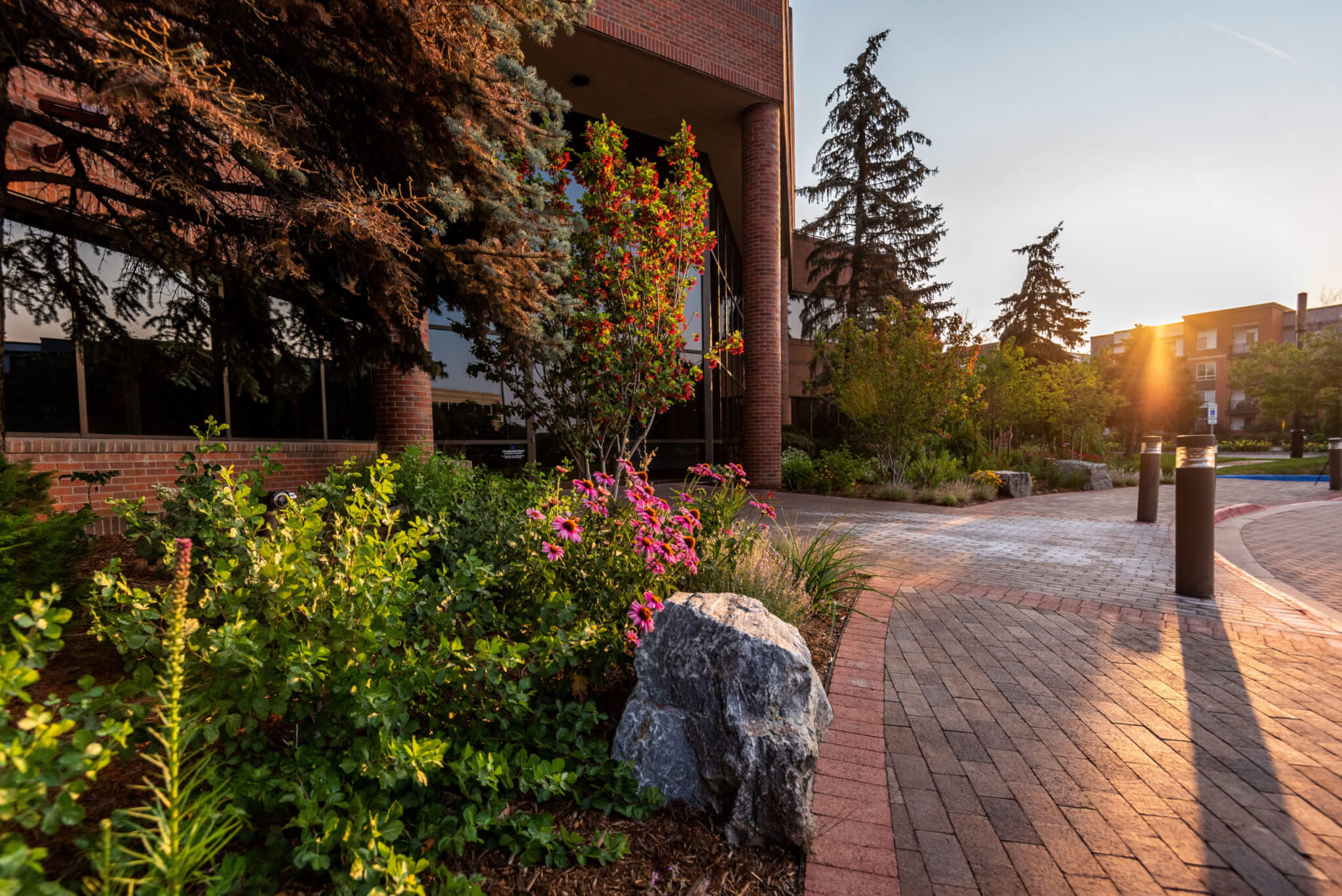 Pathway by the building with flower plants and trees