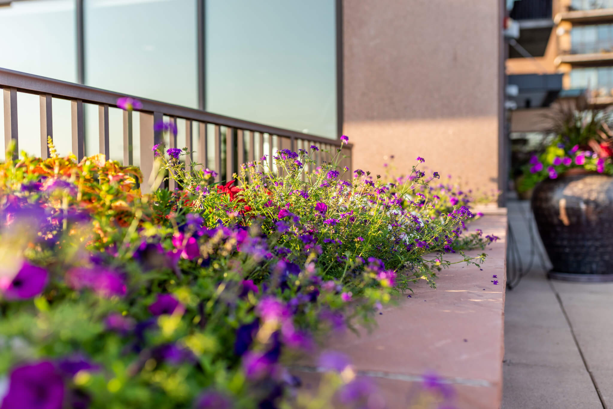 garden in the balcony of a building