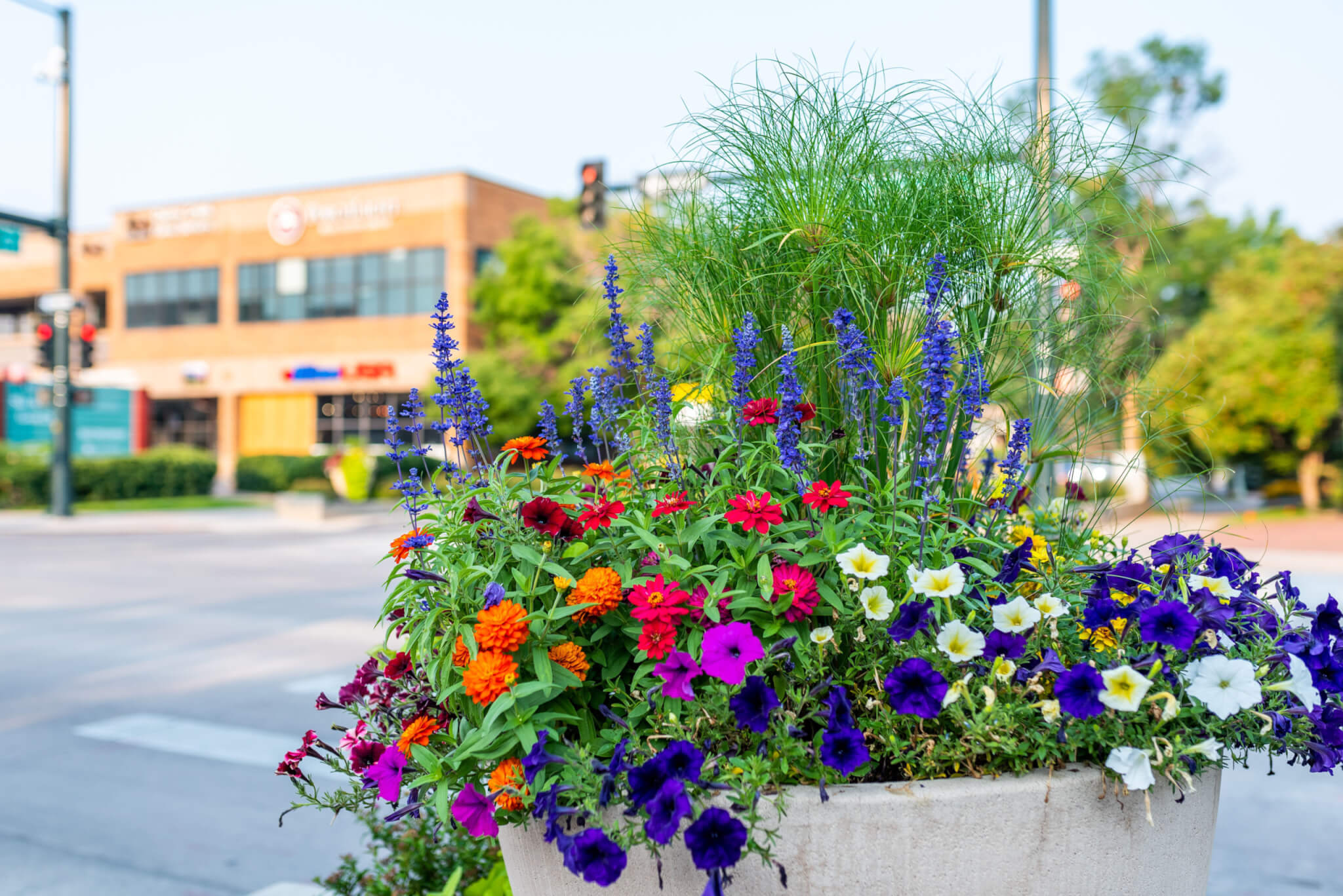 A big flower pot filled with colourful flower plants Located on side of a road