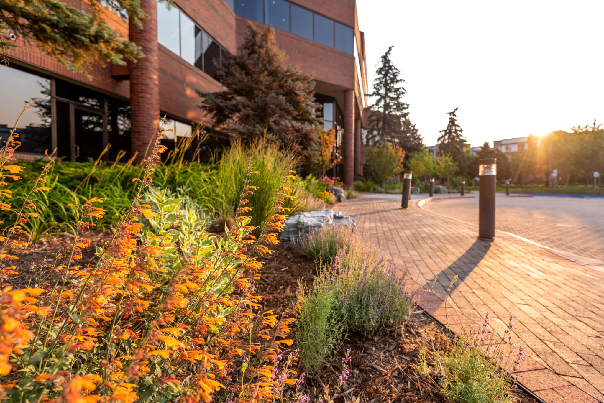 Pathway leading to entrance of the building