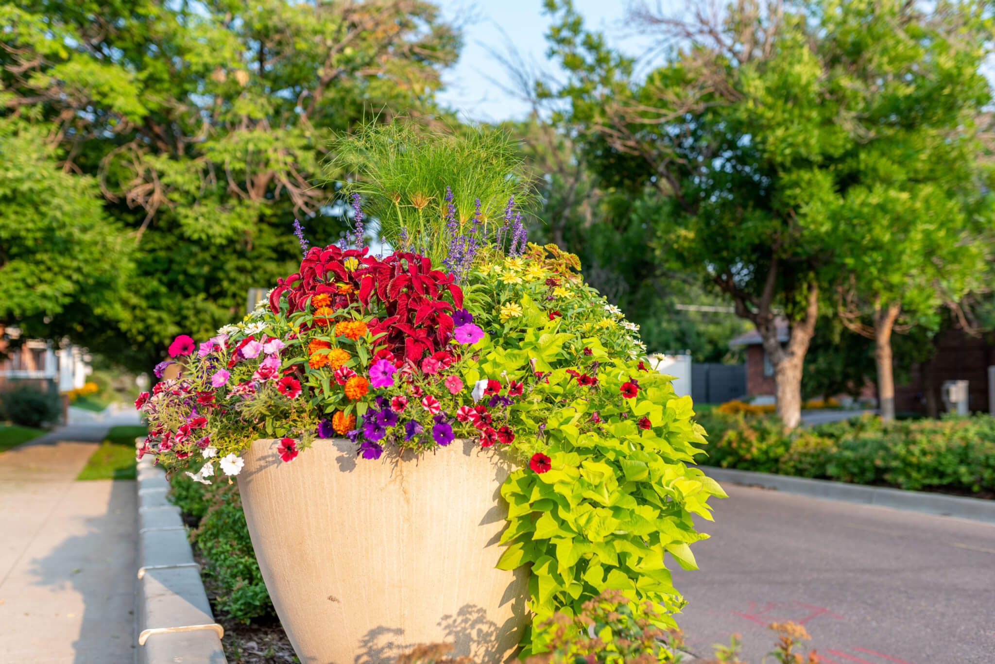 There are trees and a big flower pot on side of a road