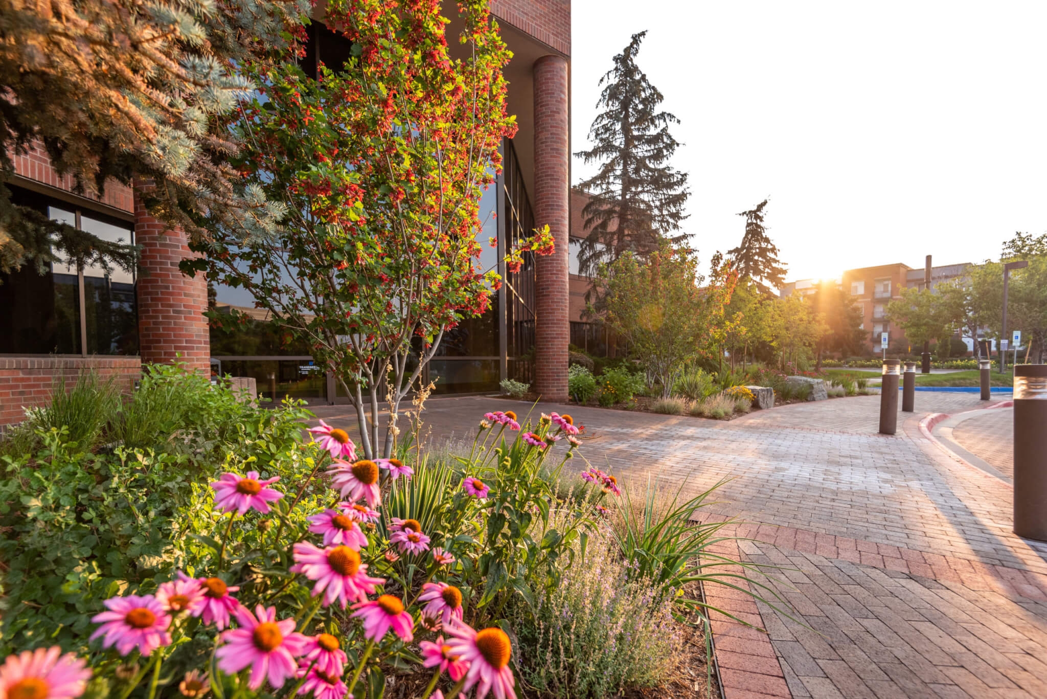 Pathway by the building with flower plants and trees