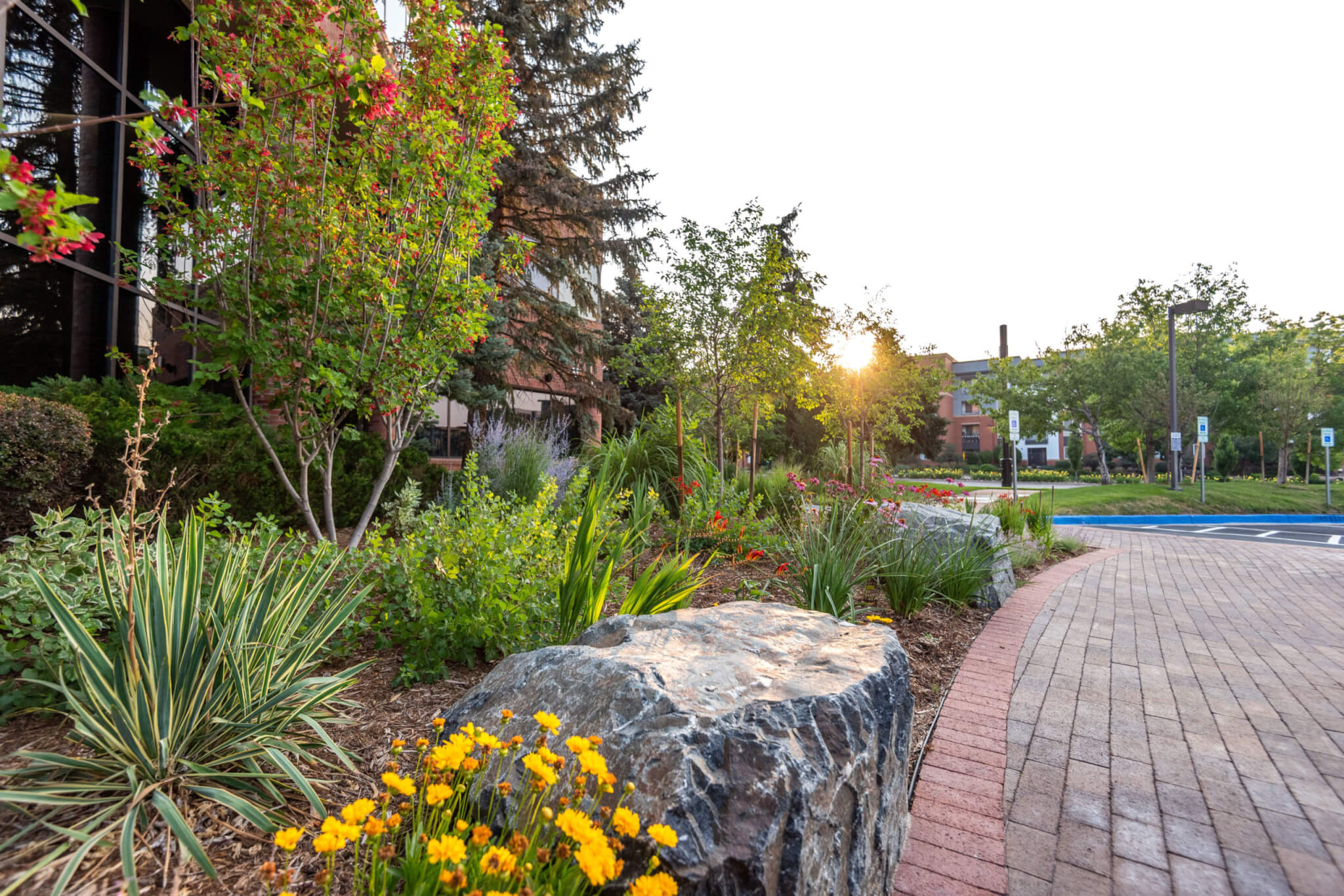 Pathway by the building with flower plants and trees