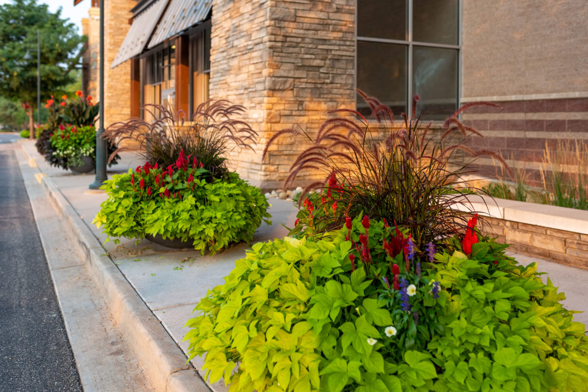 A big flower pots filled with plants and colourful flower plants on side of the pathway