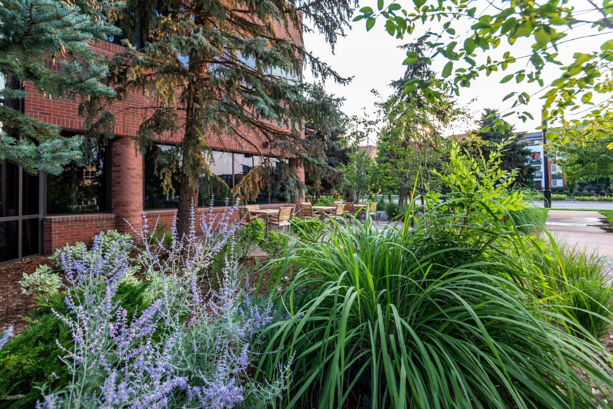 Lawn area filled with chairs, tables, grass plants and trees