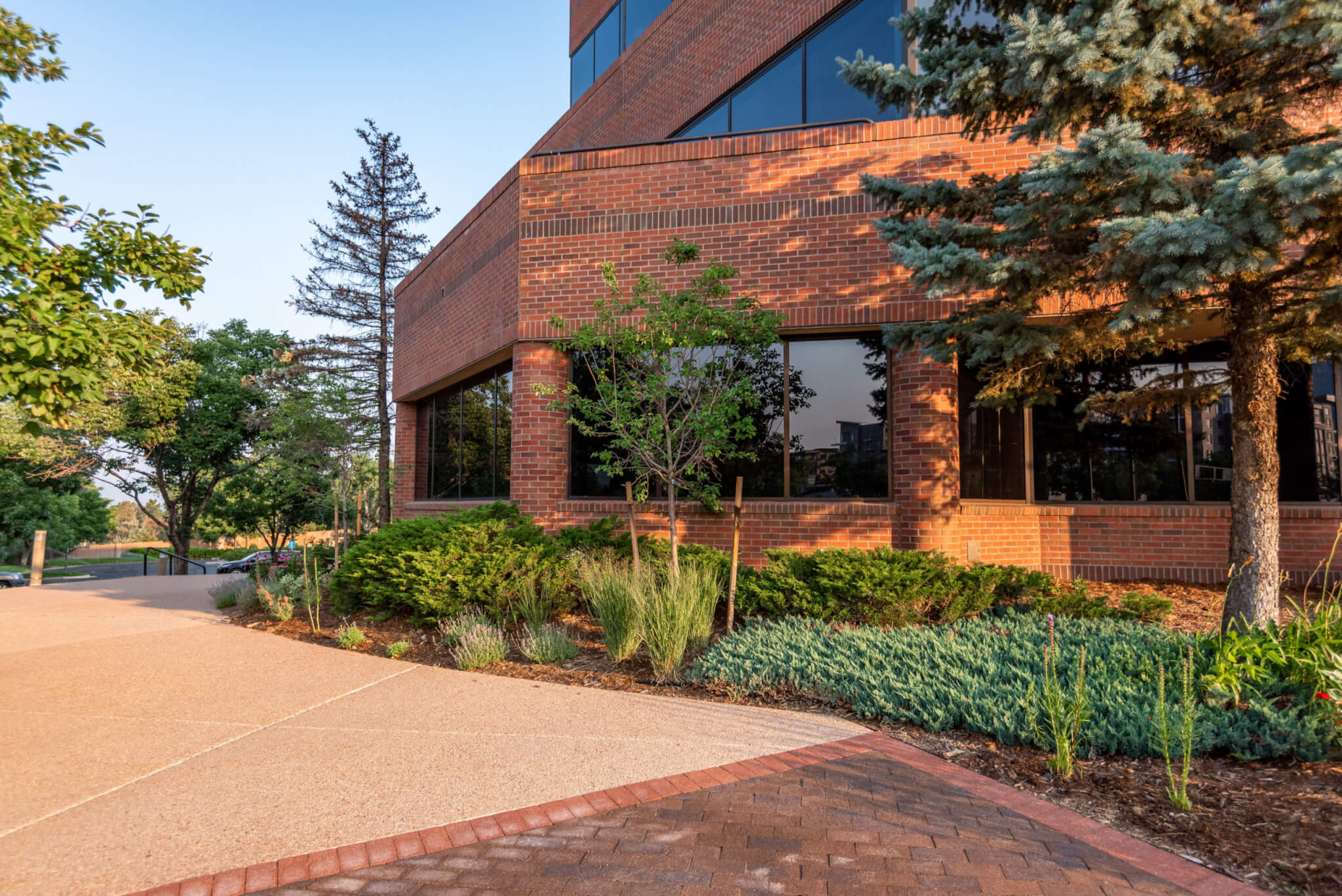 Pathway by the building with plants and trees