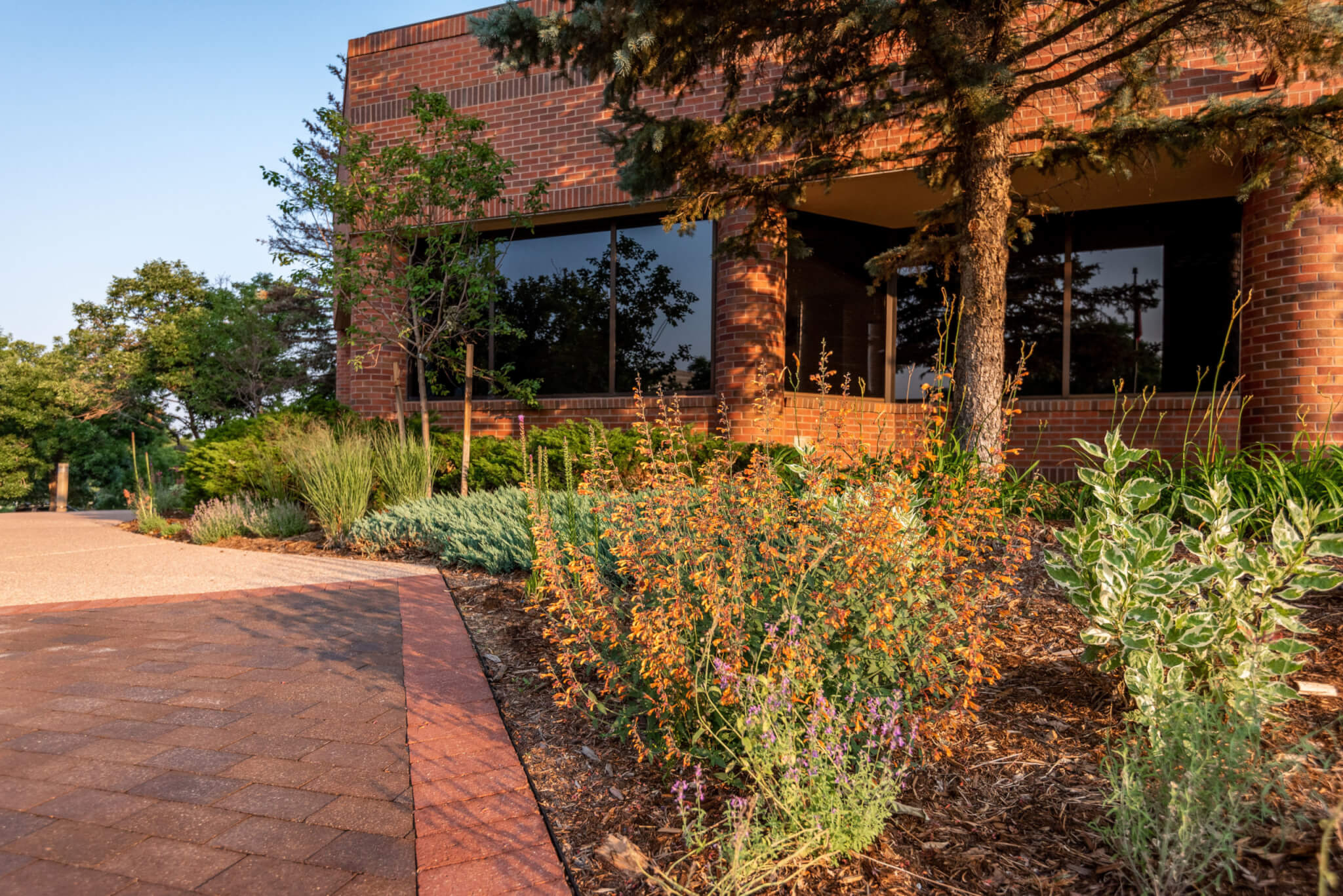 Pathway by the building with plants and trees