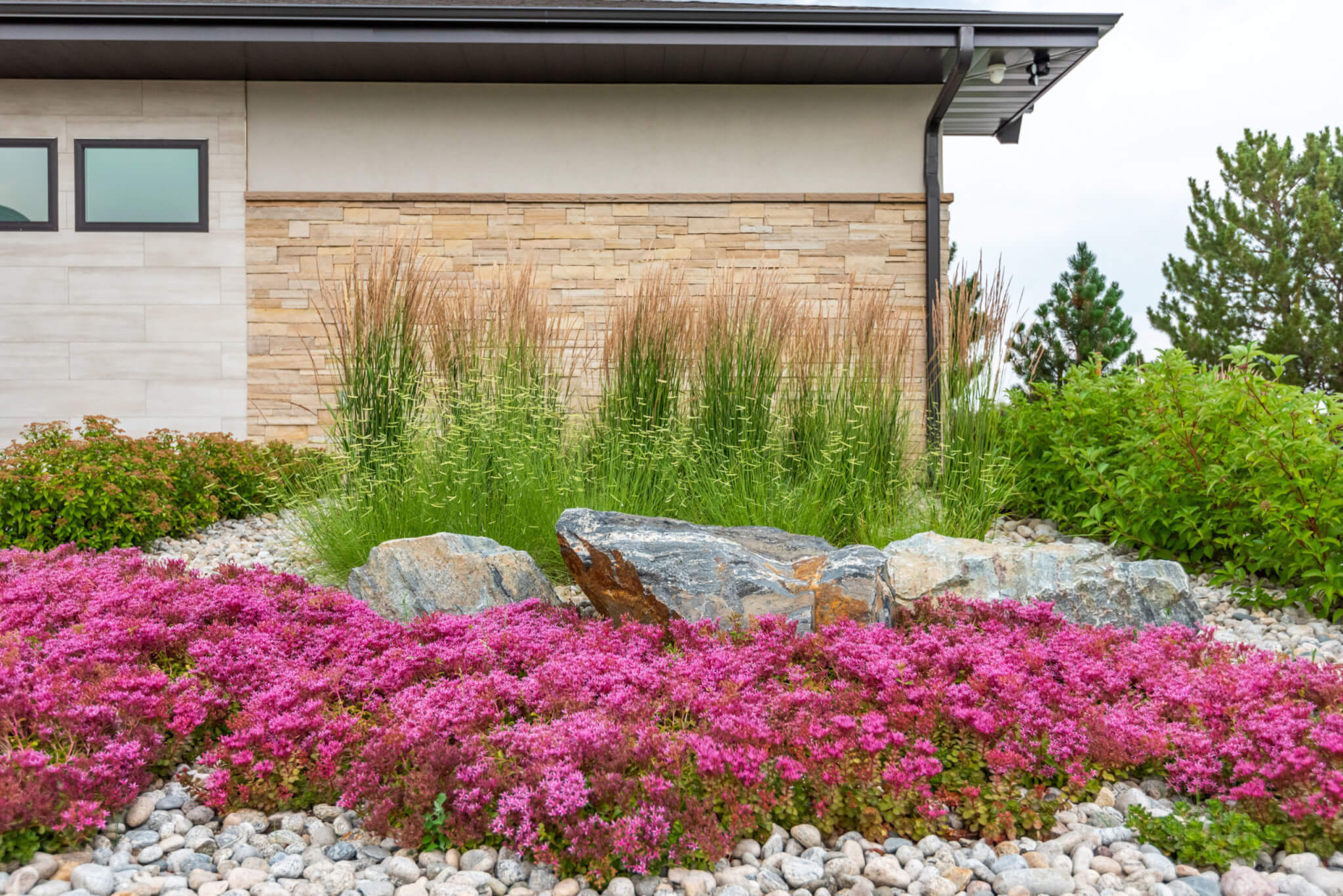 Garden with flower plants, grass plants and trees